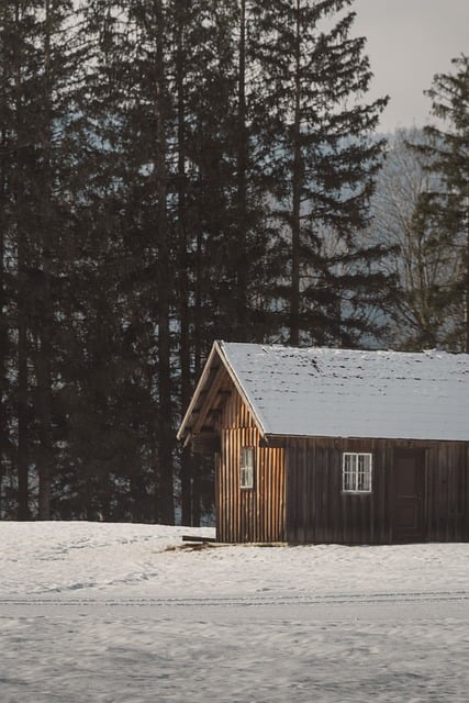 Cozy cabin in a snowy forest, symbolizing a peaceful winter escape